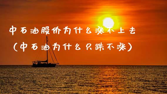 中石油股价为什么涨不上去（中石油为什么只跌不涨） (https://www.njaxzs.com/) 黄金期货 第1张