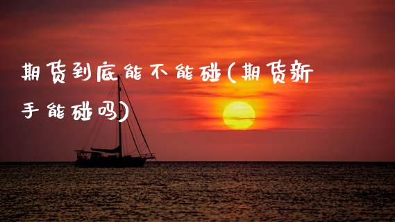 期货到底能不能碰(期货新手能碰吗) (https://www.njaxzs.com/) 黄金期货 第1张