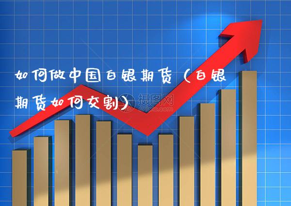 如何做中国白银期货（白银期货如何交割） (https://www.njaxzs.com/) 期货行情 第1张