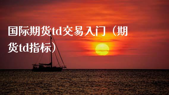 国际期货td交易入门（期货td指标） (https://www.njaxzs.com/) 黄金期货 第1张