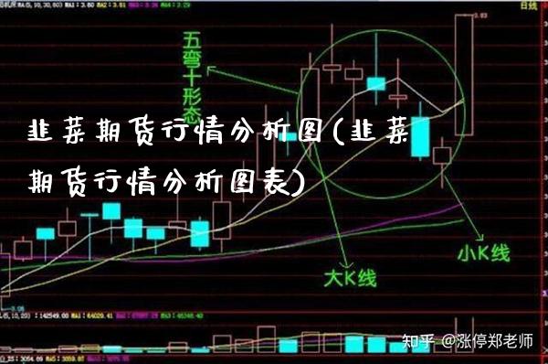 韭菜期货行情分析图(韭菜期货行情分析图表) (https://www.njaxzs.com/) 期货直播间 第1张