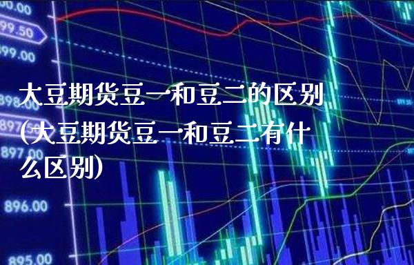大豆期货豆一和豆二的区别(大豆期货豆一和豆二有什么区别) (https://www.njaxzs.com/) 原油期货 第1张