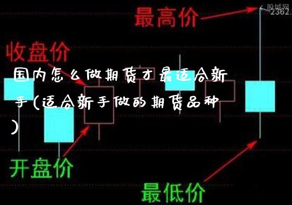 国内怎么做期货才最适合新手(适合新手做的期货品种) (https://www.njaxzs.com/) 原油期货 第1张