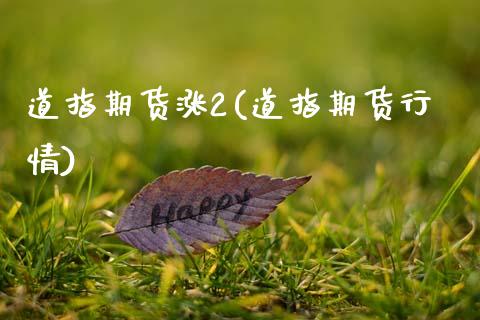 道指期货涨2(道指期货行情) (https://www.njaxzs.com/) 期货开户 第1张