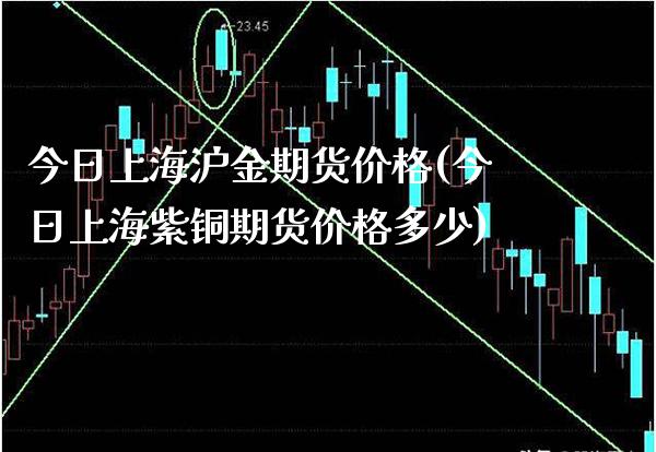 今日上海沪金期货价格(今日上海紫铜期货价格多少) (https://www.njaxzs.com/) 期货投资 第1张