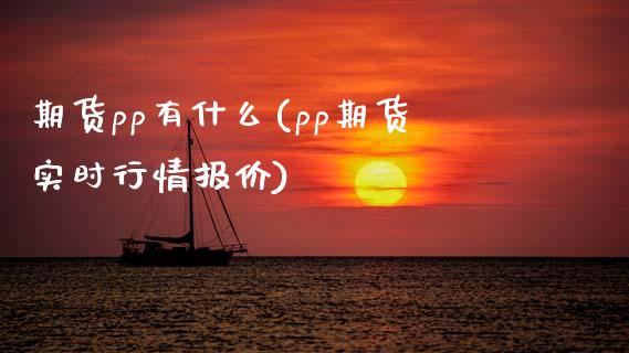 期货pp有什么(pp期货实时行情报价) (https://www.njaxzs.com/) 期货投资 第1张