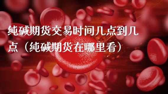 纯碱期货交易时间几点到几点（纯碱期货在哪里看） (https://www.njaxzs.com/) 内盘期货 第1张