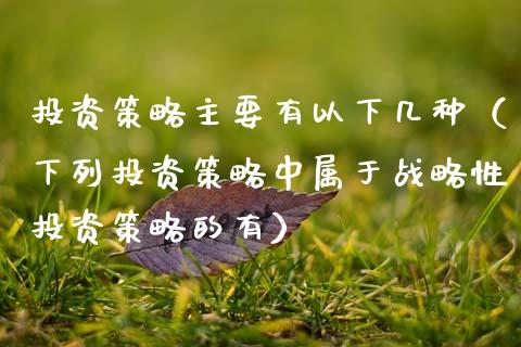 投资策略主要有以下几种（下列投资策略中属于战略性投资策略的有） (https://www.njaxzs.com/) 期货直播间 第1张