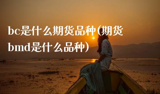 bc是什么期货品种(期货bmd是什么品种) (https://www.njaxzs.com/) 期货直播间 第1张