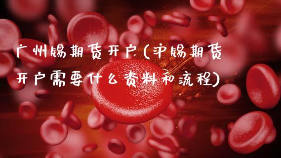 广州锡期货开户(沪锡期货开户需要什么资料和流程) (https://www.njaxzs.com/) 期货行情 第1张