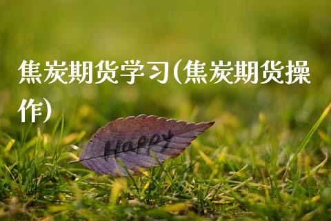 焦炭期货学习(焦炭期货操作) (https://www.njaxzs.com/) 期货直播间 第1张