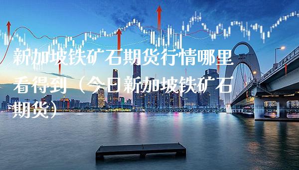 新加坡铁矿石期货行情哪里看得到（今日新加坡铁矿石期货） (https://www.njaxzs.com/) 内盘期货 第1张