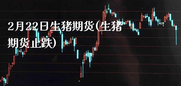 2月22日生猪期货(生猪期货止跌) (https://www.njaxzs.com/) 黄金期货 第1张