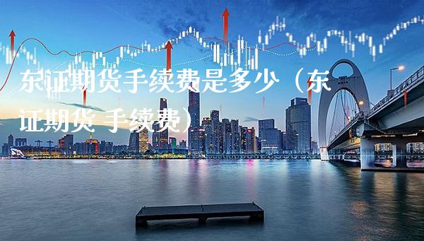 东证期货手续费是多少（东证期货 手续费） (https://www.njaxzs.com/) 内盘期货 第1张