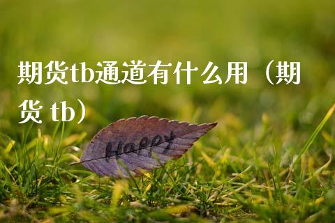 期货tb通道有什么用（期货 tb） (https://www.njaxzs.com/) 期货直播间 第1张