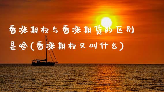 看涨期权与看涨期货的区别是啥(看涨期权又叫什么) (https://www.njaxzs.com/) 期货直播间 第1张