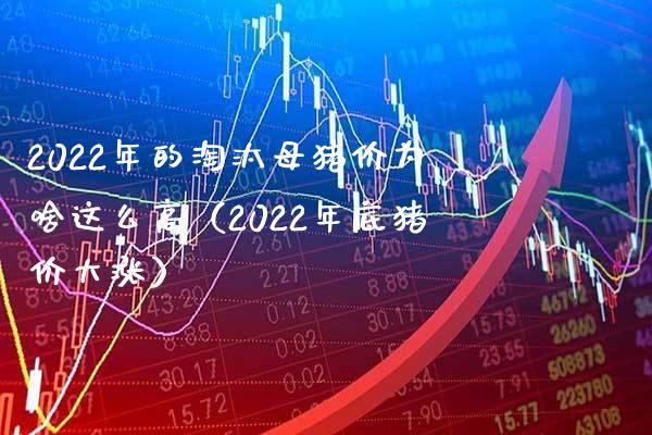 2022年的淘汰母猪价为啥这么高（2022年底猪价大涨） (https://www.njaxzs.com/) 期货开户 第1张