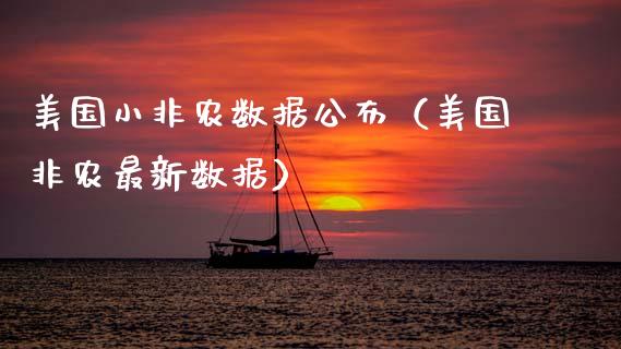 美国小非农数据公布（美国非农最新数据） (https://www.njaxzs.com/) 期货行情 第1张