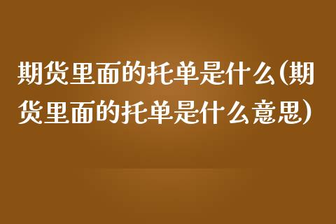 期货里面的托单是什么(期货里面的托单是什么意思) (https://www.njaxzs.com/) 期货投资 第1张