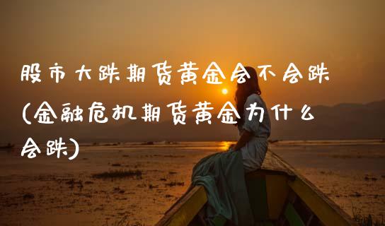 股市大跌期货黄金会不会跌(金融危机期货黄金为什么会跌) (https://www.njaxzs.com/) 原油期货 第1张