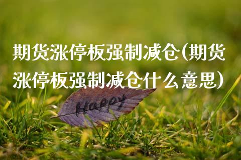 期货涨停板强制减仓(期货涨停板强制减仓什么意思) (https://www.njaxzs.com/) 期货行情 第1张