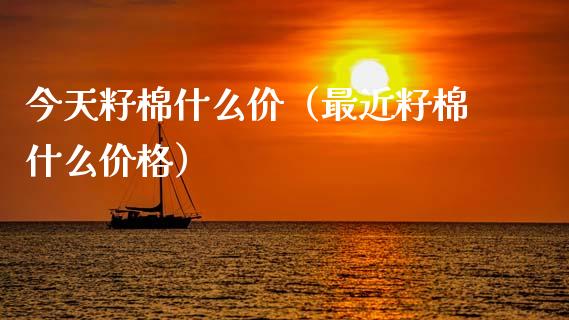 今天籽棉什么价（最近籽棉什么） (https://www.njaxzs.com/) 期货直播间 第1张