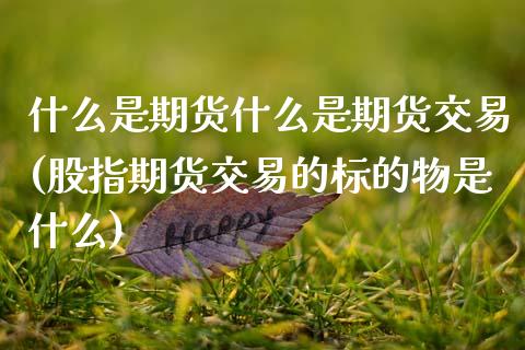什么是期货什么是期货交易(股指期货交易的标的物是什么) (https://www.njaxzs.com/) 期货投资 第1张
