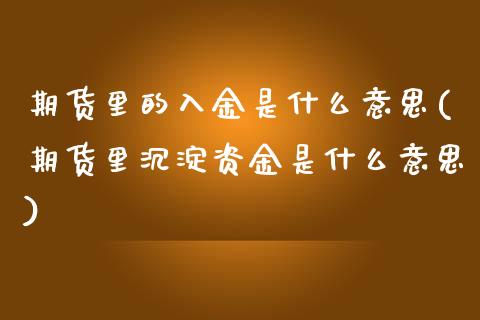 期货里的入金是什么意思(期货里沉淀资金是什么意思) (https://www.njaxzs.com/) 内盘期货 第1张