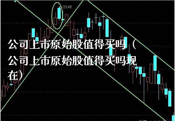 公司上市原始股值得买吗（公司上市原始股值得买吗现在） (https://www.njaxzs.com/) 内盘期货 第1张