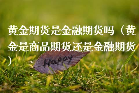 黄金期货是金融期货吗（黄金是商品期货还是金融期货） (https://www.njaxzs.com/) 内盘期货 第1张