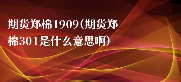 期货郑棉1909(期货郑棉301是什么意思啊) 期货开户 第1张-爱新财经 期货郑棉1909(期货郑棉301是什么意思啊) (https://www.njaxzs.com/) 期货开户 第1张