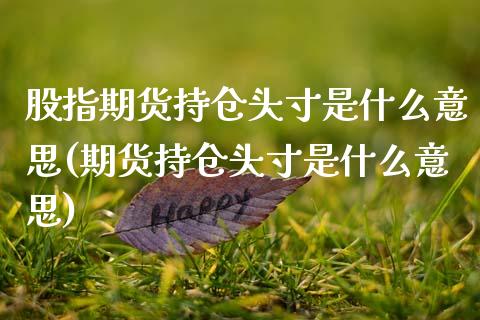 股指期货持仓头寸是什么意思(期货持仓头寸是什么意思) (https://www.njaxzs.com/) 原油期货 第1张