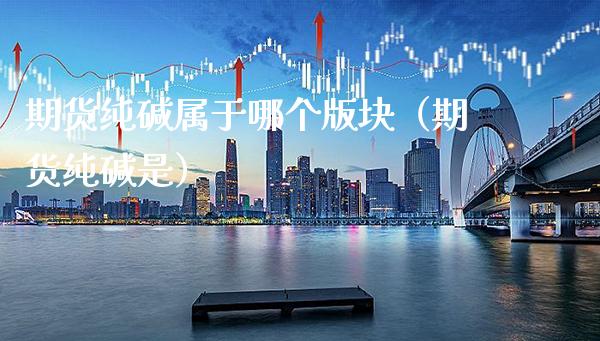 期货纯碱属于哪个版块（期货纯碱是） (https://www.njaxzs.com/) 期货行情 第1张