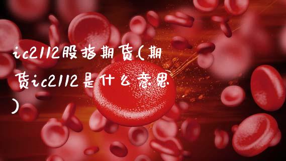 ic2112股指期货(期货ic2112是什么意思) (https://www.njaxzs.com/) 原油期货 第1张