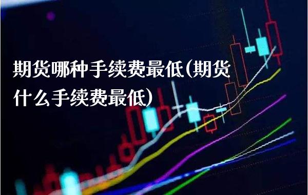 期货哪种手续费最低(期货什么手续费最低) (https://www.njaxzs.com/) 黄金期货 第1张