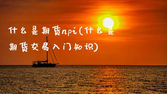什么是期货npi(什么是期货交易入门知识) (https://www.njaxzs.com/) 期货直播间 第1张