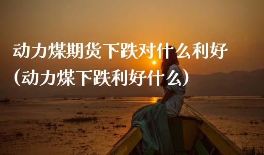 动力煤期货下跌对什么利好(动力煤下跌利好什么) (https://www.njaxzs.com/) 期货开户 第1张