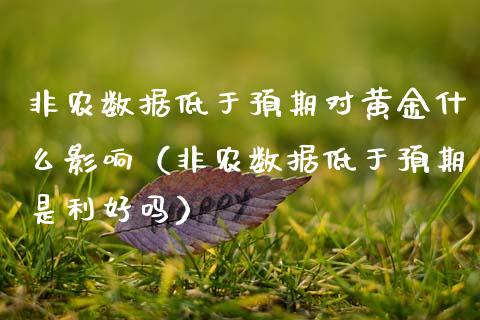 非农数据低于预期对黄金什么影响（非农数据低于预期是利好吗） (https://www.njaxzs.com/) 期货行情 第1张