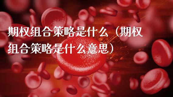 期权组合策略是什么（期权组合策略是什么意思） (https://www.njaxzs.com/) 内盘期货 第1张