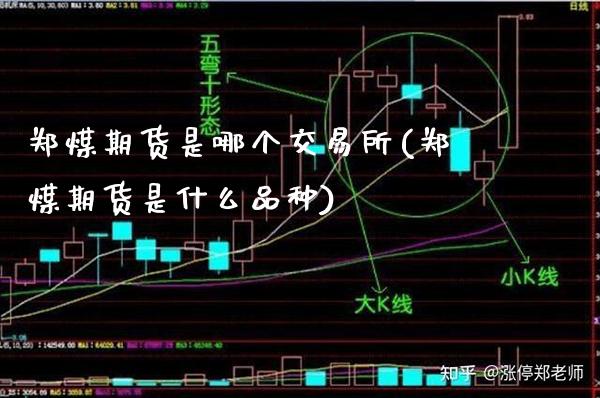 郑煤期货是哪个交易所(郑煤期货是什么品种) (https://www.njaxzs.com/) 原油期货 第1张