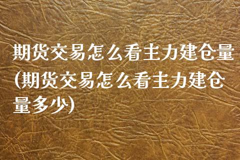 期货交易怎么看主力建仓量(期货交易怎么看主力建仓量多少) (https://www.njaxzs.com/) 黄金期货 第1张