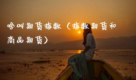 啥叫期货指数（指数期货和商品期货） (https://www.njaxzs.com/) 内盘期货 第1张