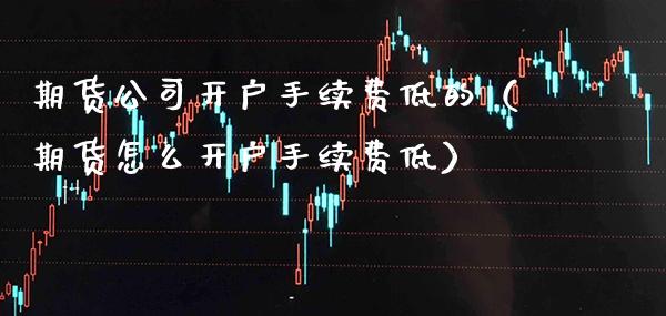 期货公司开户手续费低的(期货怎么开户手续费低) 黄金期货 第1张-爱新财经 期货公司开户手续费低的(期货怎么开户手续费低) (https://www.njaxzs.com/) 黄金期货 第1张