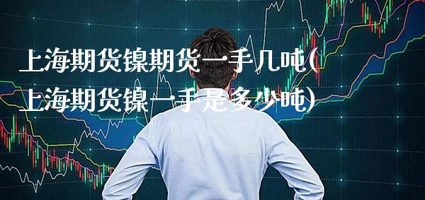 上海期货镍期货一手几吨(上海期货镍一手是多少吨) (https://www.njaxzs.com/) 内盘期货 第1张