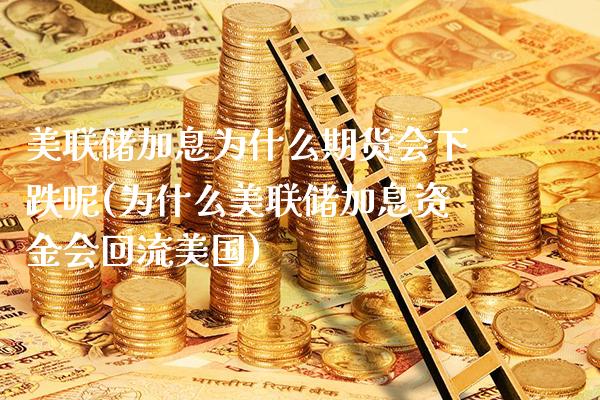 美联储加息为什么期货会下跌呢(为什么美联储加息资金会回流美国) (https://www.njaxzs.com/) 期货开户 第1张