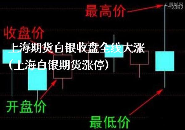 上海期货白银收盘全线大涨(上海白银期货涨停) (https://www.njaxzs.com/) 期货直播间 第1张