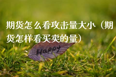 期货怎么看攻击量大小（期货怎样看买卖的量） (https://www.njaxzs.com/) 期货行情 第1张