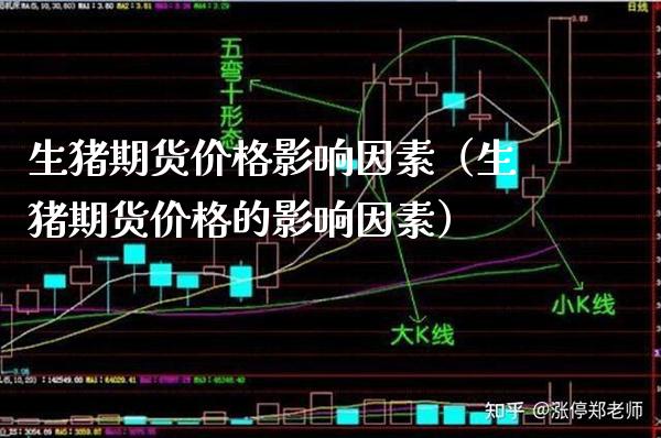 生猪期货影响因素（生猪期货的影响因素） (https://www.njaxzs.com/) 内盘期货 第1张