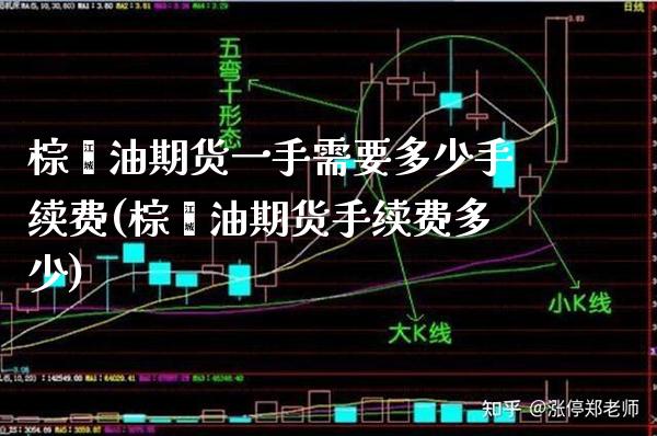 棕榈油期货一手需要多少手续费(棕榈油期货手续费多少) (https://www.njaxzs.com/) 期货直播间 第1张