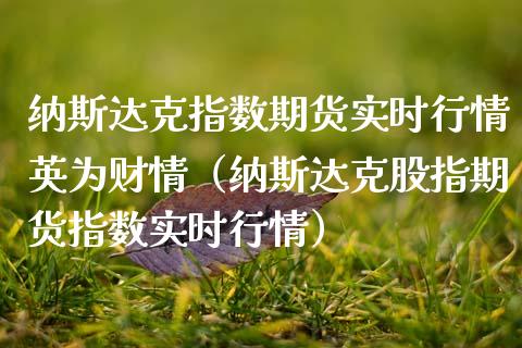 纳斯达克指数期货实时行情英为财情（纳斯达克股指期货指数实时行情） (https://www.njaxzs.com/) 期货行情 第1张